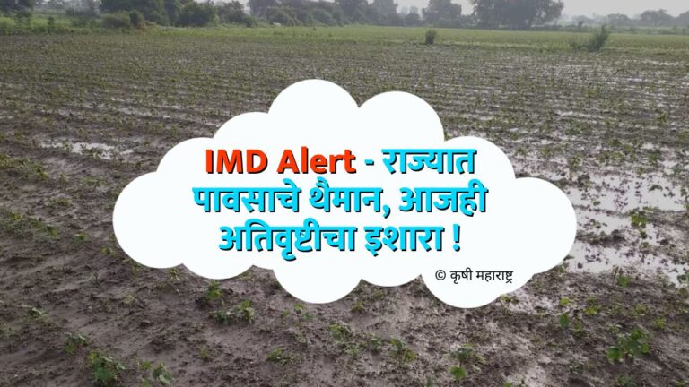 IMD Alert