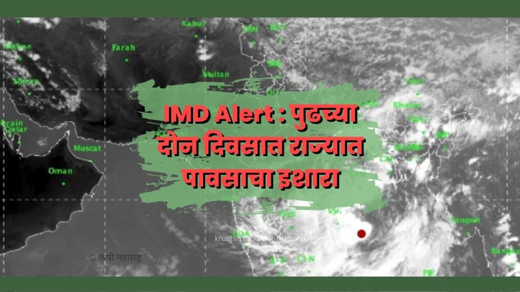 IMD Alert : पुढच्या दोन