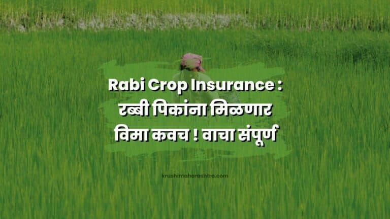Rabi Crop Insurance