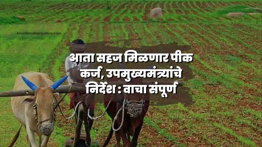 मिळणार पीक कर्ज