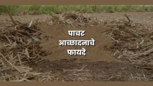 पाचट आच्छादनाचे फायदे