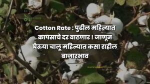 Cotton Rate