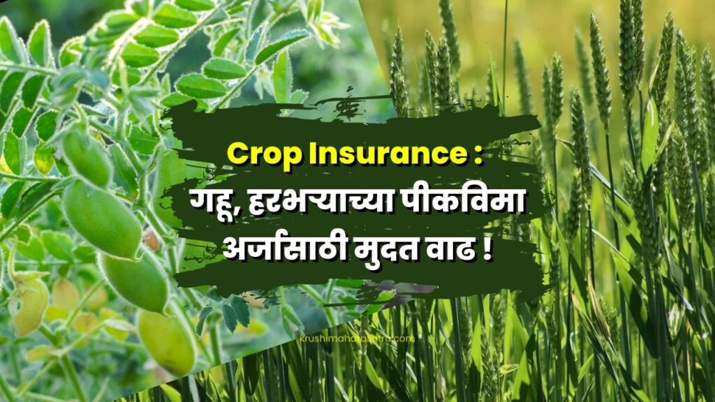 Crop Insurance