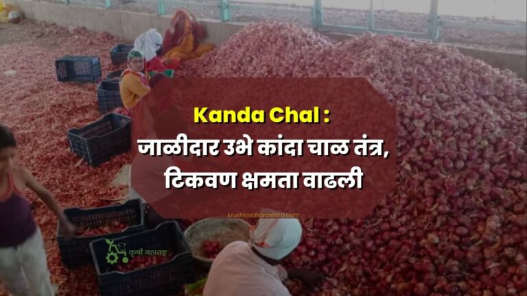 Kanda Chal