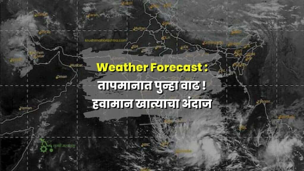 Weather Forecast