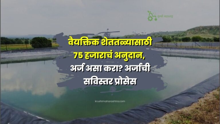 शेततळ्यासाठी 75 हजाराचं