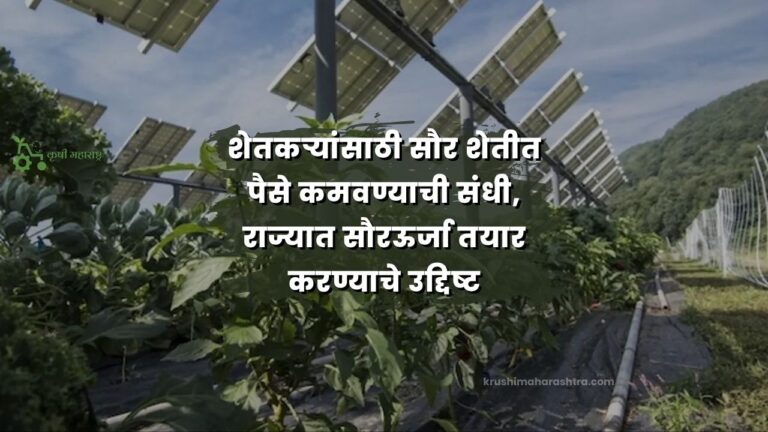 शेतकऱ्यांसाठी सौर शेतीत