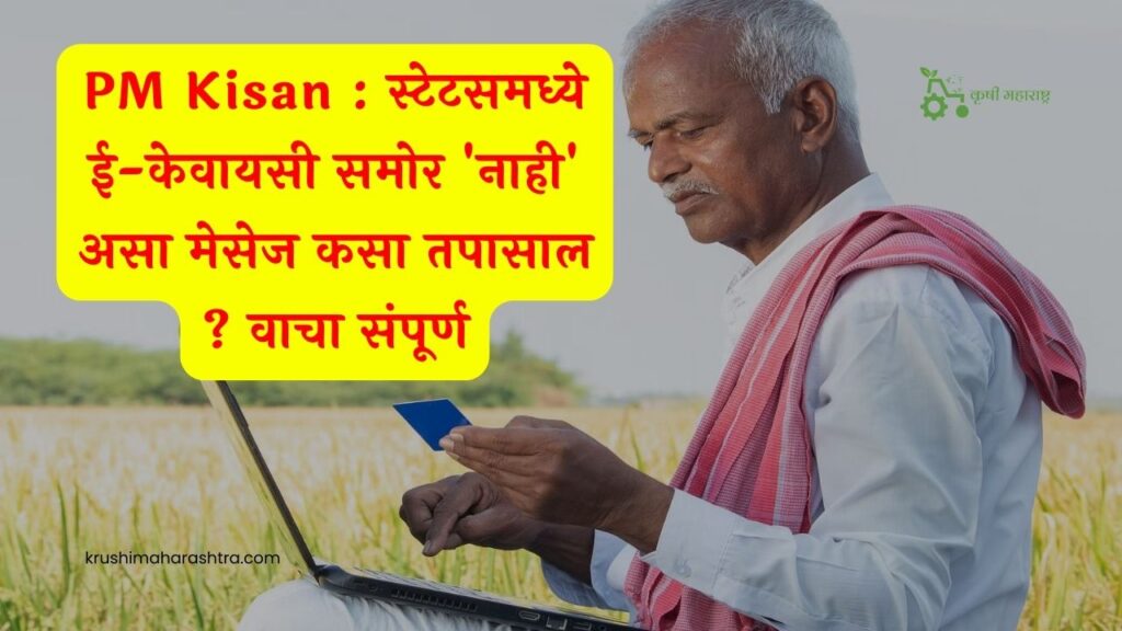 PM Kisan : स्टेटसमध्ये