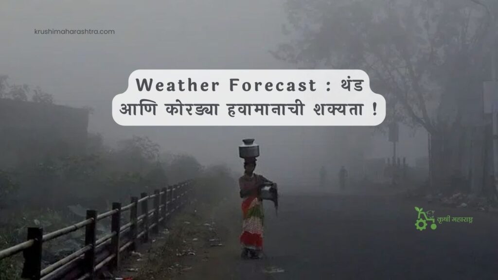 Weather Forecast