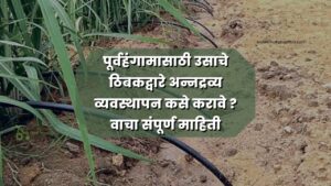 पूर्वहंगामासाठी उसाचे