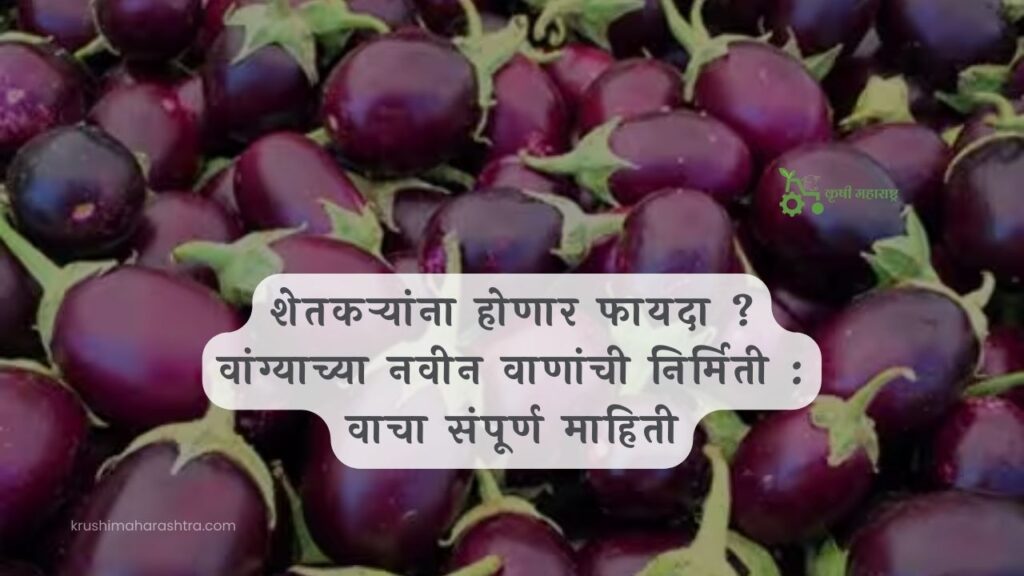 शेतकऱ्यांना होणार