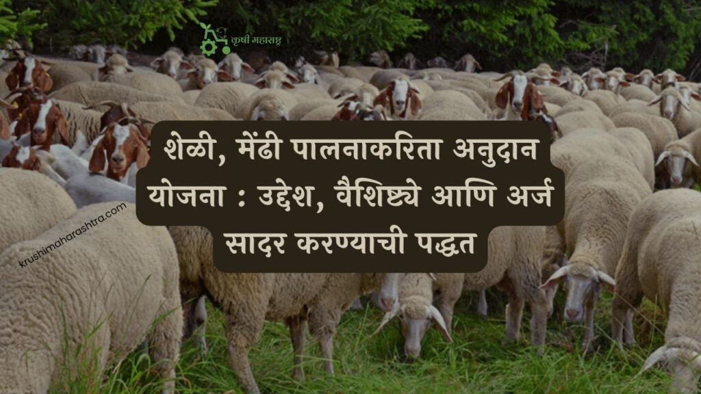 पालनाकरिता अनुदान योजना