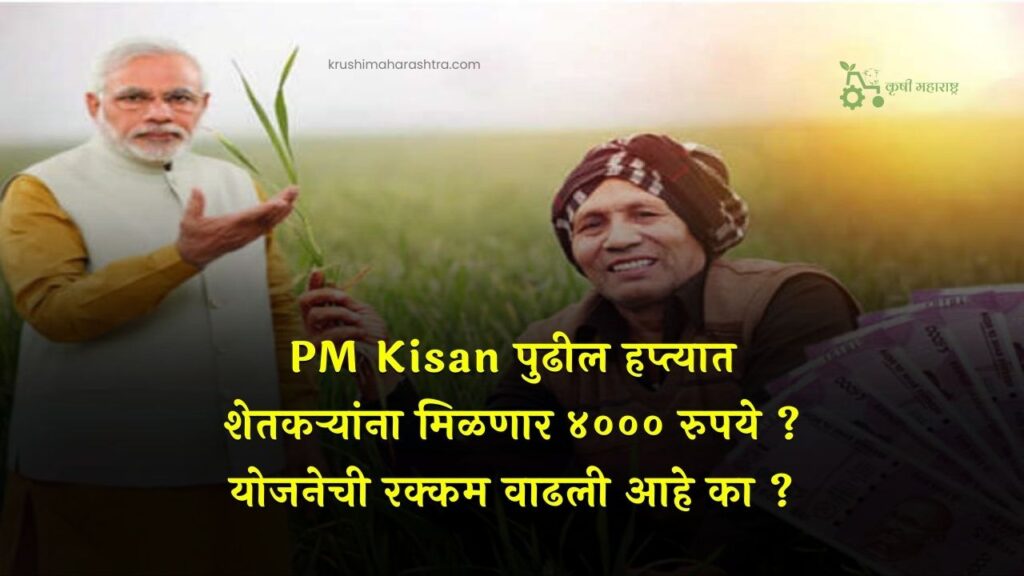 PM Kisan पुढील