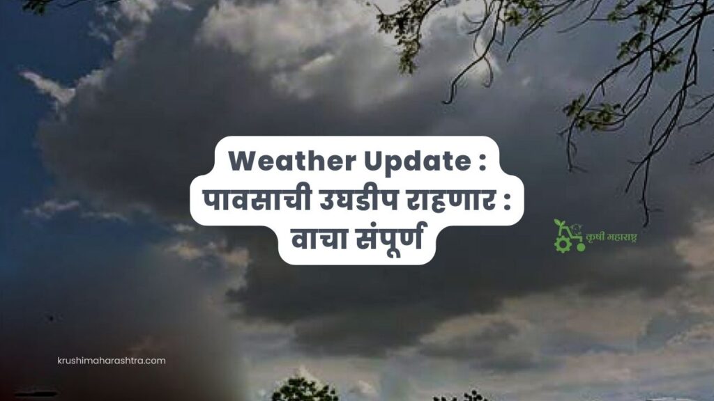 Weather Update