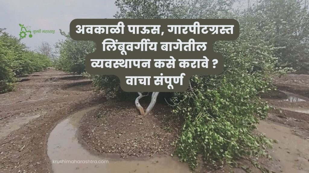 अवकाळी पाऊस