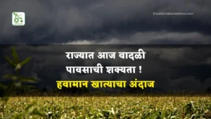 Maharashtra Rain Forecast