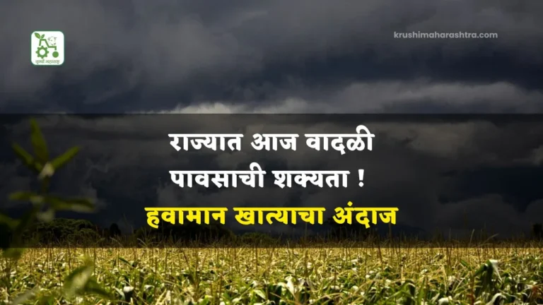 Maharashtra Rain Forecast