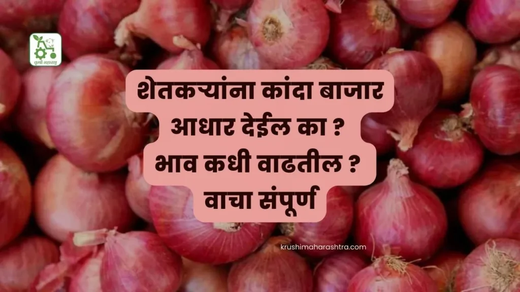 Onion Rate