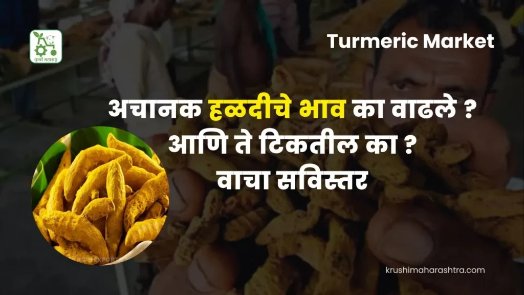 Turmeric Market