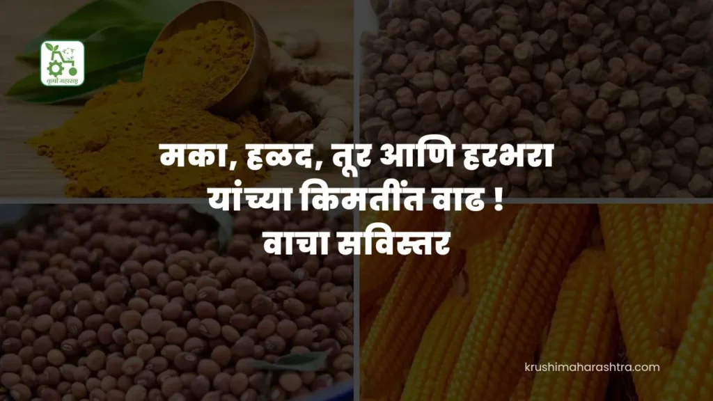 Commodity Market