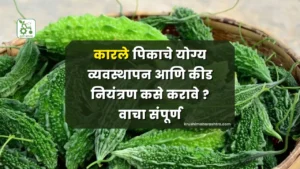 Karela Crop Management