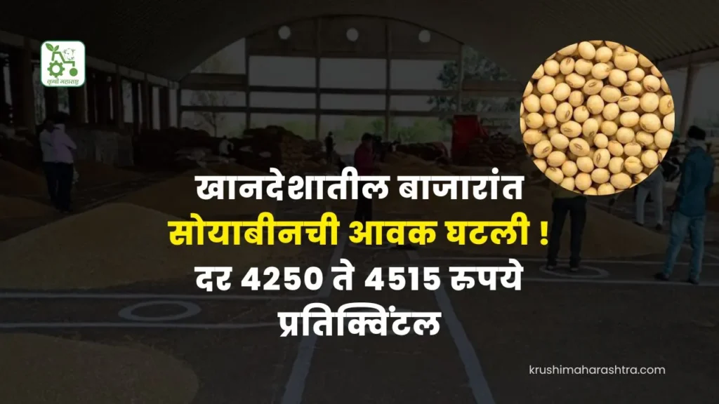 Soyabean Rate