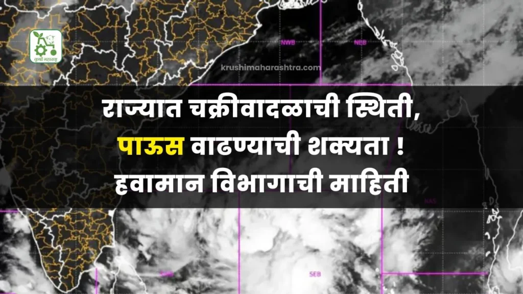 Maharashtra Rain Update