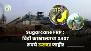 Sugarcane FRP